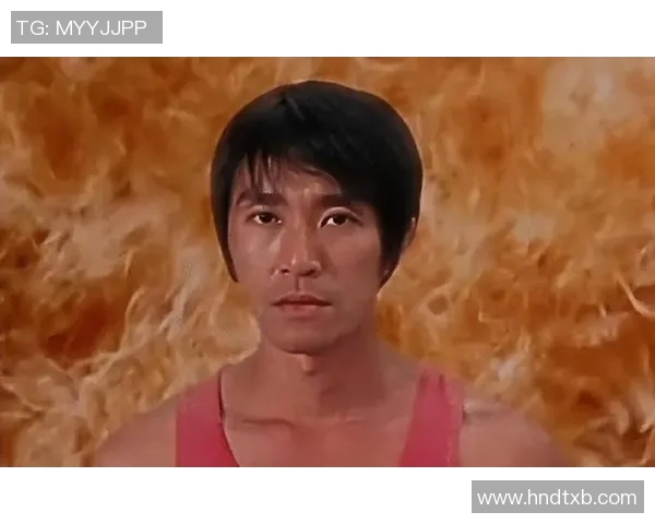 少林足球明星的精彩表现与影响力深度解析与评价